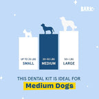 Barkbox Bright Durable Dental Kit, 15 Chew Sticks & Toothpaste - Medium Breeds (Berry Mint Flavored)