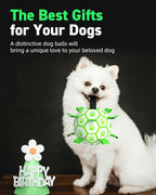 QDAN Premium Glow in The Dark Dog Toys, Dog Ball with Straps, Soccer Ball for Dogs, Outdoor Dog Toys, Pet Birthday Toys, Puppy Essentials for Small to Medium (6Inch)