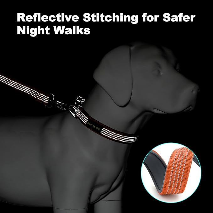 Plutus Pet Reflective Dog Collar with Aviation Aluminum Buckle, Neoprene Padded for Comfort, Lightweight, Heavy Duty Nylon Collar for Puppy Small Medium Large Dogs (Orange, M)