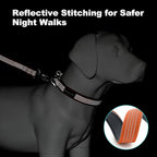 Plutus Pet Reflective Dog Collar with Aviation Aluminum Buckle, Neoprene Padded for Comfort, Lightweight, Heavy Duty Nylon Collar for Puppy Small Medium Large Dogs (Orange, XL)