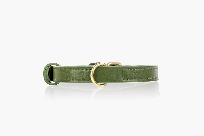 Two Tails Pet Company Cactus Vegan Leather Dog Collar, Adjustable Pet Collar with Gold Hardware and D Rings for Leash and ID Tag for Dogs and Puppies, Easy to Clean & Eco Friendly, Green, Size Large