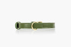 Two Tails Pet Company Cactus Vegan Leather Dog Collar, Adjustable Pet Collar with Gold Hardware and D Rings for Leash and ID Tag for Dogs and Puppies, Easy to Clean & Eco Friendly, Green, Size Medium