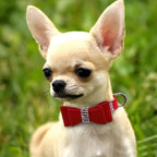 Serijoars Small Dog Collar with Rhinestone Crystal Diamond Colorful Bling Girl Puppy Cat Collars (S, Red1)