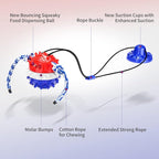 Interactive Dog Toys - Aggressive Chewer Suction Cup Tug of War, Indestructible Puzzle Toys & Treat Dispensing Ball for Dog Enrichment