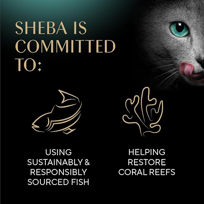 Sheba Perfect Portions Wet Cat Food Pate Savory Chicken Entree, Roasted Turkey Entree, and Tender Beef Entree Variety Pack, 2.6 oz. Twin Pack Trays (24 Count, 48 Servings)