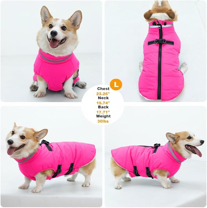 Small Dog Coat with Harness Built-in, Waterproof Reflective Fleece Lined - Warm Windproof Winter Jacket with Back Zipper, Cold Weather Snow Dog Coats - Pink - XS