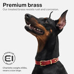 Classic Genuine Leather Dog Collar | Dog Collars for Medium Dogs, Small Dogs, Large Dogs & Extra Large Dog | Wide Dog Collar | Heavy Duty Dog Collar (Red, M: 0.8" Wide for 10.5"-13.5" Neck)