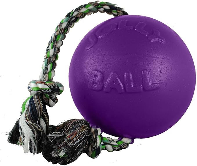 Jolly Pets Romp-n-Roll Dog Toy, Orange, 6", Model Number: 788169060645