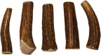 X Small Whole 5 Pack (for 0-15 lb Dogs and Puppies) Premium Grade Elk Antlers for Dogs (5 Pieces) Sourced in The USA