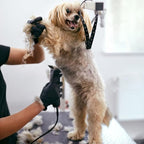 7Pack 10 Blades Dog Grooming Replacement Blades Compatible with Andis Pet Clipper/Oster A5/Wahl KM Series Dog Clipper,Ceramic Blade & Stainless Steel Blade (#10+30+40+3FC+4FC+5FC+7FC)