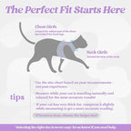 rabbitgoo Cat Harness and Leash Set for Walking Escape Proof, Adjustable Soft Kittens Vest with Reflective Strip for Cats, Comfortable Outdoor Vest, Light Purple, XL
