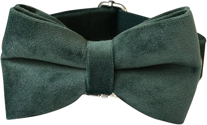 Dog Collar Custom Personalized Engraved Name and Phone Number for Puppy Small Medium Large Pets (L, Green)