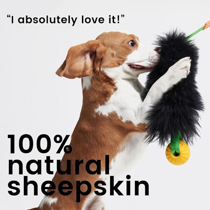 HOWGO Dog Rope Toy,Dog Bungee Chaser Toy 100% Sheepskin,Sheep Smell Tug Toy for All Breeds (Purple, with Rubber Ball)