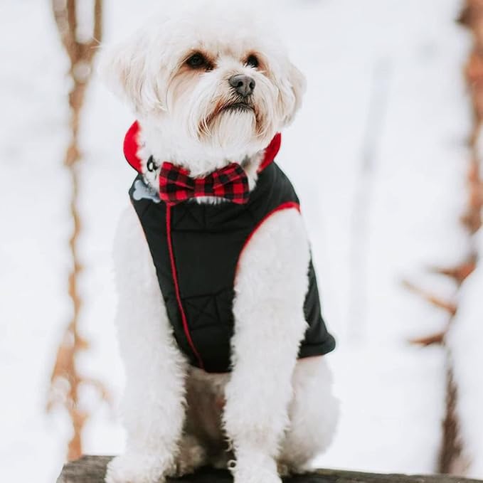 Gooby Sports Vest Dog Jacket - Black, Medium - Reflective Dog Vest with D Ring Leash Warm Fleece Lined Hook and Loop Closure for Small to Medium Dogs