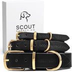 Classic Genuine Leather Dog Collar | Dog Collars for Medium Dogs, Small Dogs, Large Dogs & Extra Large Dog | Wide Dog Collar | Heavy Duty Collar (Black, XX Large)