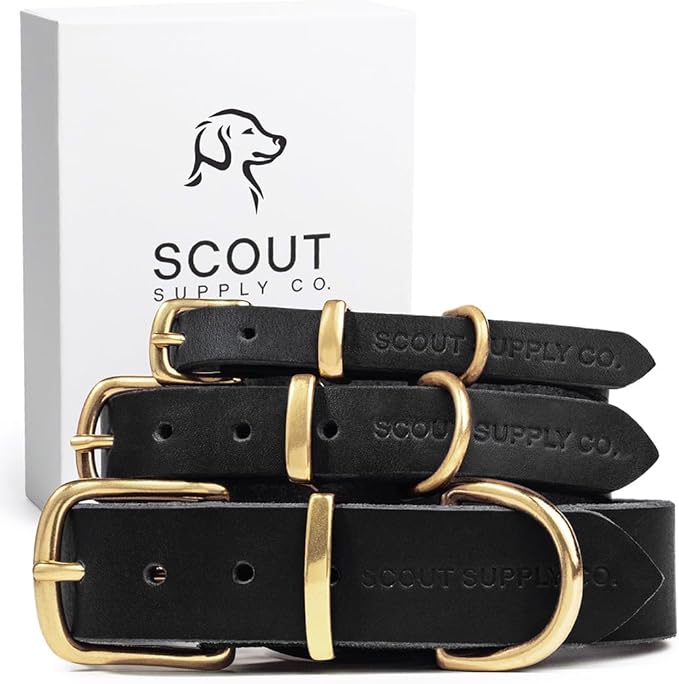 Classic Genuine Leather Dog Collar | Dog Collars for Medium Dogs, Small Dogs, Large Dogs & Extra Large Dog | Wide Dog Collar | Heavy Duty Collar (Black, Medium)