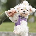 AIITLE Comfortable Dog Harness and Leash Set for Walking - Summer Step in Vest Harness,Reflective Bands, Adjustable No Pull Puppy Essentials, for Small Dogs and House Cats Purple XS