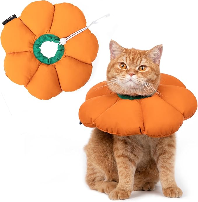 H HIDREAM Cat Cone Collar,Cute Waterproof Recovery Collar,Anti-Bite Lick Wound Healing Safety Elizabethan e Collar for Cats,Orange Pumpkin Halloween Costume, HDY01-005M
