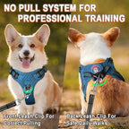 Dog Harness Step in Dog Vest Harness, Reflective Adjustable Puppy No Pull Harness Breathable Soft for Small and Medium Dogs Cats, Blue/Black, S