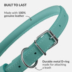 CollarDirect Rolled Leather Dog Collar, Soft Padded Round Puppy Collar, Handmade Genuine Leather Collar Dog Small Large Cat Collars 13 Colors (8-11 Inch, Mint Green Smooth)
