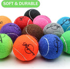 Magicorange 20 Pack Dog Tennis Balls, Tennis Balls for Dogs,Pet Ball Come with Mesh Bag for Easy Transport, Colorful Easy Catching Pet Dog Balls(Multi-Color, 20 Pack)