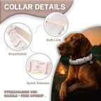 DOGWONG LED Dog Collar - Heavy Duty Light up Collars - Rechargeable Waterproof - Lighted Dog Collar for Night Walking, Hiking, Camping(White,S)