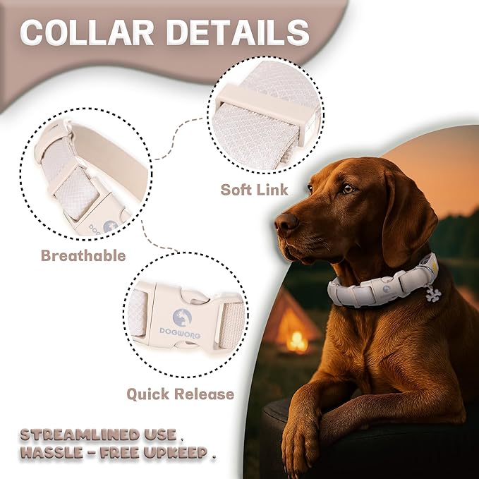 DOGWONG LED Dog Collar - Heavy Duty Light up Collars - Rechargeable Waterproof - Lighted Dog Collar for Night Walking, Hiking, Camping(White,L)