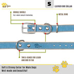 ADITYNA Heavy-Duty Leather Dog Collar for Small Dogs - Soft Padded for Comfort - Blue Dog Collar for Walking, Training, and Hiking