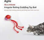 Interactive Cat Toy – Motion Activated Rolling Ball with LED Lights & 3 Play Modes & Two Different Tails - Best Toy for Indoor Cats & Kittens to Stay Active and Stimulate Hunting Instinct