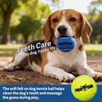Dog Squeaky Tennis Balls for Pet Playing in 3 Sizes Premium Strong Dog & Puppy Balls for Training, Play, Exercise The Easiest Color for Dogs Red Yellow Blue (Medium-12pack)
