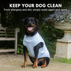 Spark Paws Sunblock Dog T-Shirt, SPF30 Protection, Lightweight Breathable Quick Dry for Dogs with Sensitive Skin - Blue & Grey (Set of 2) - M