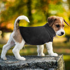 FUAMEY Dog Fleece Vest for Small Dogs,Warm Stretchy Dog Sweatshirts Pullover with Leash Hole Dogs Sweater Soft Pet Turtleneck Cozy Pet Vest Lightweight Sleeveless Black S