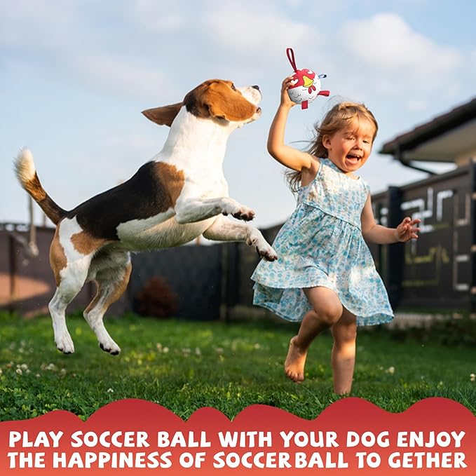 QDAN Soccer Ball Dog Toy - Extra Small Dog Balls, Beach & Pool, Chicken & Puppy Gifts, Herding (5 Inch)