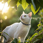 EXPAWLORER Halloween Leather Cat Collar - Adjustable Pet Collar with Rivet Spike for Girl Boy Cats, Punk Accessories with Bell & Durable D-Ring, Star & Moon