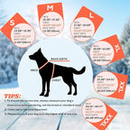 EMUST Winter Dog Jacket, Windproof Dog Apparel for Cold Weather, Reflective Coats for Dogs, Warm Puppy Jacket for Cold Winter, Orange, S