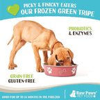 Raw Paws Signature Pet Food for Dogs & Cats - Green Goat Tripe, 1-lb Rolls (20 Pack) - Fresh Pet Food Made in USA - Natural Dog Food Rolls - Raw Frozen Dog Food – Green Goat Tripe for Dogs & Cats