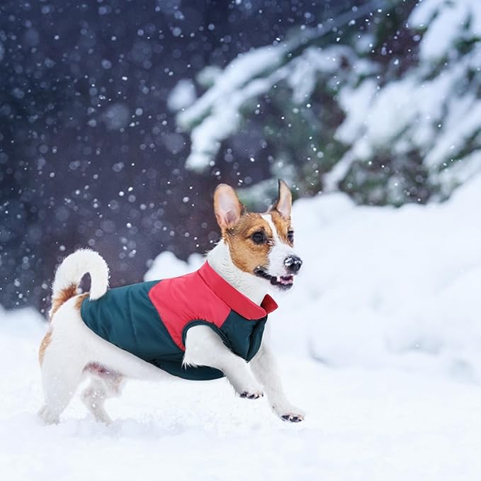 ASENKU Dog Winter Coat - Waterproof Windproof Dog Jacket, Warm Snowproof Doggie Puffer Vest for Cold Weather, Lightweight Snow Coats for Small Medium Large Dogs (Red&Navy, XS)