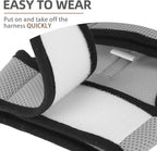 PUPTECK Soft Mesh Cat Vest Harness and Leash Set Puppy Padded Pet Harnesses Escape Proof for Cats Small Dogs Rabbits Bunny, Grey S