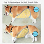 Waterproof Belly Shield for Corgis & Dachshunds – Adjustable underbelly Protector. Male/Female Designs. Stays Dry in rain, mud & Grass. Ideal for Sensitive Skin (Yellow - Male, M)