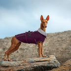 Lelepet Warm Dog Coat Waterproof Dog Jacket for Small Dogs Reflective Fleece Vest with Adjustable Buckle Hook & Loop Windproof Cold Weather Coats for Small Medium Large Dogs, Dark Purple, S