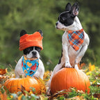 SCENEREAL Thanksgiving Dog Bandanas 2 Pack, Puppy Fall Orange Turkey Triangle Bibs Handkerchief, Reversible Holiday Dog Bandana for Boy and Girl, Premium Pet Scarf for Small Medium Large Dogs XL