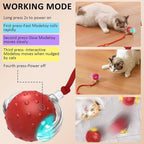 Dog Toy, 360° Rolling Interactive Ball Cat Toy with Realistic Bird Chirping Sounds, Fast Moving Balls Toys for Pets | Automatic Obstacle Avoidance, Rechargeable, Tough (Red+Blue)