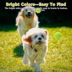 Magicorange 12 Pack Small Tennis Balls, 2 inch Tennis Balls for Dogs,Colorful Easy Catching Pet Playing Ball (Multicolor, 12 Pack)