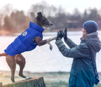 Kuoser Dog Coat Warm Dog Puffer Jacket, Windproof Dogs Padded Vest Lightweight Cold Weather Coats Pet Snowsuit Soft Puppy Winter Clothes for Extra Large Dogs, Button Design, Easy On/Off, Blue 2XL