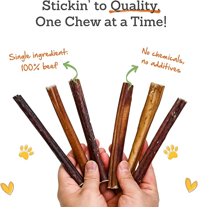 Advance Pet Products 6 Inch Bully Sticks (Pack of 10) - 100% Beef, Odor Free Dog Chews for Aggressive Chewers - Long Lasting, Gluten-Free, Easy to Digest, High Protein & Rawhide Free Chews for Dogs