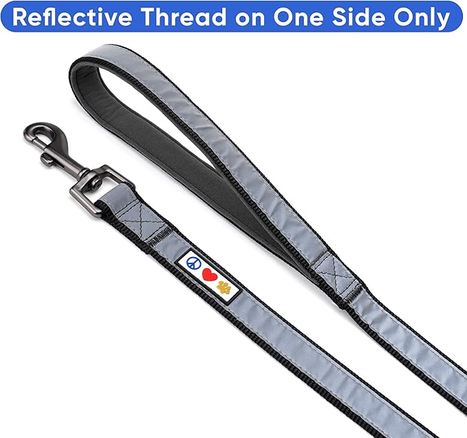 Pawtitas 6 FT Padded Dog Leash with Comfortable Neoprene Padding Handle - Black Lead | Medium Reflective Dog Leash with Highly Reflective Band Perfect for Medium and Large Dogs and Puppies