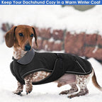 Windproof Waterproof Dog Coat for Dachshund -Black,XSmall- Miniature Dachshund Clothes, Small Dog Coat with Harness Built in, Reflective Dachshund Jacket with Buckle Closure