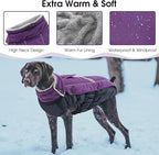 Queenmore Warm Fleece Dog Jacket - Cold Weather Waterproof Snow Coat With Leash Hole, Reflective Turtleneck Snowsuit for Small Medium & Large Dogs (Purple, 2XL)