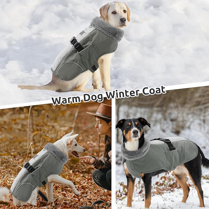 Queenmore Dog Coats for Large Breeds, Dog Snow Jacket, Adjustable Easy On Large Dogs Winter Jackets, Waterproof Cold Weather Pet Coat, Grey, L