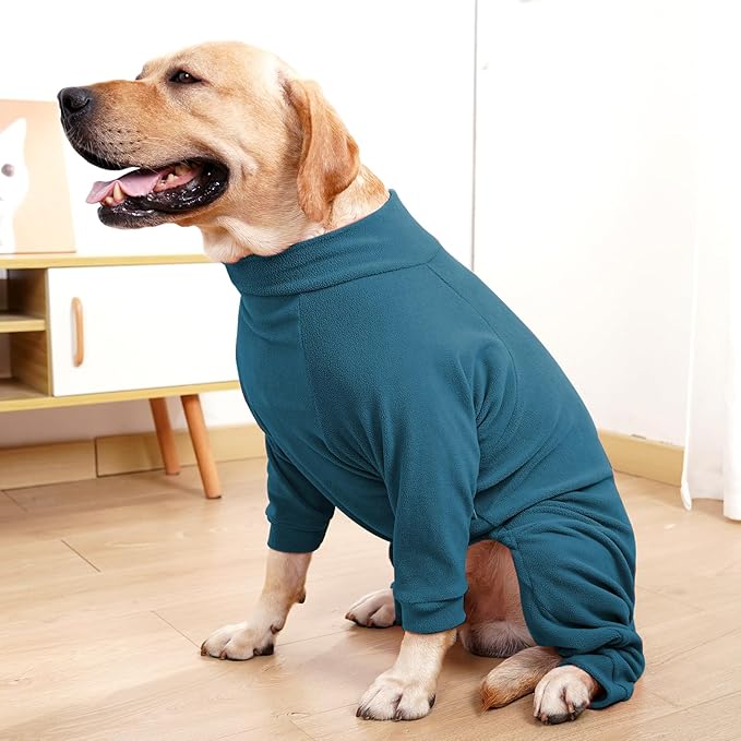 Dog Winter Coat for Small Medium Large Dog Run Walk Sleep Pet Warm Fleece Sweater & Windproof Pajamas Snow Jacket Small Turquoise